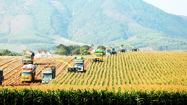 Quy trình chăn nuôi, sản xuất sữa của Tập đoàn TH được áp dụng công nghệ hiện đại với những dữ liệu chính xác.