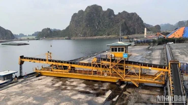 Trong quý I, ngành than đã sản xuất 10,5 triệu tấn than nguyên khai, sản xuất 10,05 triệu tấn than sạch; tiêu thụ 12,71 triệu tấn than; trong đó, than cung ứng cho sản xuất điện đạt 10,8 triệu tấn.
