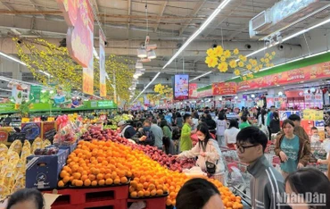 Người tiêu dùng mua sắm tại siêu thị GO!, Big C.