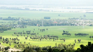 Cánh đồng vùng Tri Tôn nhìn từ đỉnh núi Cấm. Ảnh: K.MINH