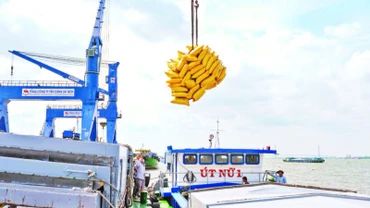 Bốc dỡ hàng hóa tại cảng Tân Cảng Cái Cui, thành phố Cần Thơ. (Ảnh TTXVN)