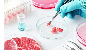 Thịt nhân tạo sẽ giúp bảo đảm an ninh lương thực trong tương lai. Ảnh: NEWSMEDICAL