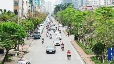 Trồng mới nhiều cây xanh đô thị