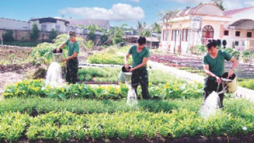 Đại đội Trinh sát cơ giới tăng gia sản xuất.