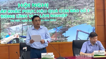 Thứ trưởng Nông nghiệp và Phát triển nông thôn Nguyễn Quốc Trị phát biểu chỉ đạo tại cuộc họp.