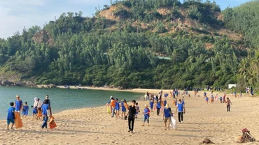 Hơn 500 tình nguyện viên tham dự sự kiện GREEN DAY in BINH DINH nhằm hưởng ứng Ngày Môi trường Thế giới (ngày 5/6) và Ngày Đại dương Thế giới (ngày 8/6). 