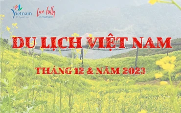 [Infographic] Du lịch Việt Nam bứt tốc ấn tượng năm 2023
