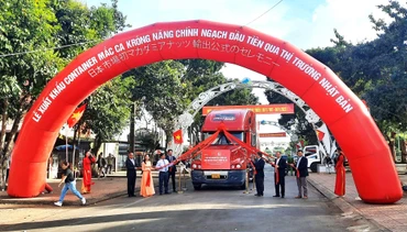 Lãnh đạo Ủy ban nhân dân huyện Krông Năng và các đơn vị liên quan cùng các doanh nghiệp làm thủ tục xuất khẩu container Mắc ca Krông Năng chính ngạch đầu tiên sang Nhật Bản.