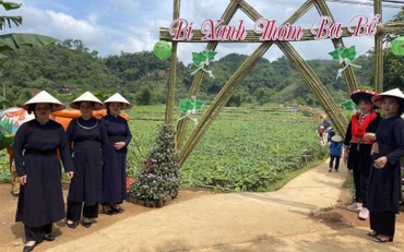 Đặc sắc cánh đồng bí xanh thơm ở xã Địa Linh, Ba Bể. 