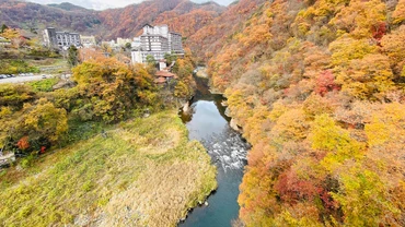 Fukushima - Hành trình kết nối