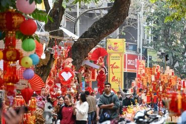 Chợ hoa Hàng Lược 2023. (Ảnh minh họa: THÀNH ĐẠT)