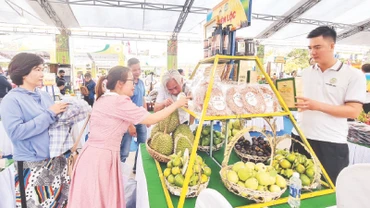Huyện Tiên Phước (Quảng Nam) tổ chức Ngày hội giới thiệu sản phẩm OCOP từ địa phương.