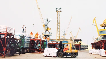 Các doanh nghiệp xuất khẩu gạo đang gặp khó khăn trong huy động nguồn hàng. Ảnh: BẮC SƠN