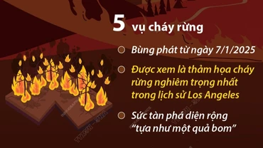 [Infographic] Cháy rừng tại Mỹ: Thiệt hại ước tính gần 150 tỷ USD
