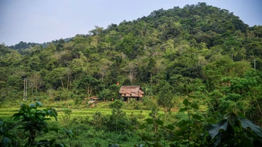 Những cuộc… đổi đời dưới tán rừng Pù Mát