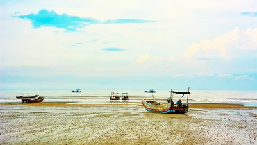 Bình minh Trà Cổ