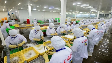 Thủy sản là một trong những mặt hàng còn nhiều tiềm năng xuất khẩu sang thị trường khu vực Đông Bắc Á.