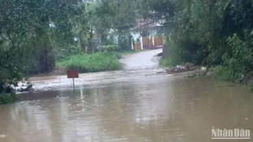 Mưa lớn gây ngập tại cầu suối Tràu, xã Xuân Phước, huyện Đồng Xuân, Phú Yên.