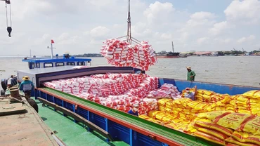 Năm 2024, Việt Nam vẫn còn nhiều cơ hội tăng trưởng xuất khẩu gạo.