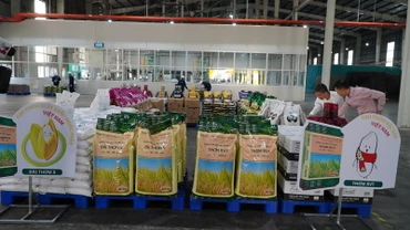 Gạo Việt Nam được ưa chuộng tại thị trường Philippines. 
