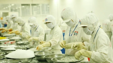 Thủy sản là một trong những mặt hàng còn nhiều cơ hội xuất khẩu sang các thị trường chủ lực như Mỹ, Trung Quốc và Nhật Bản. 