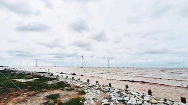 Vi vu giữa cánh đồng điện gió
