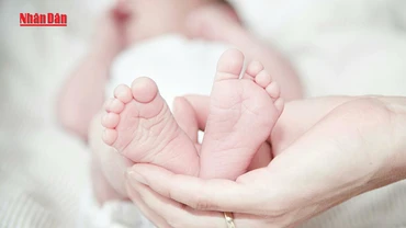 [Video] Giảm mức sinh, Việt Nam đối mặt với hệ lụy dân số tăng trưởng âm