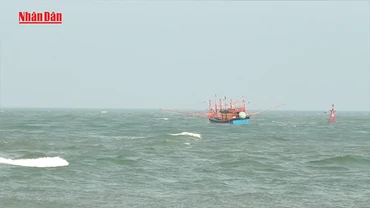 [Video] 5 thuyền viên được cứu sau vụ tàu cá bị chìm, một người mất tích