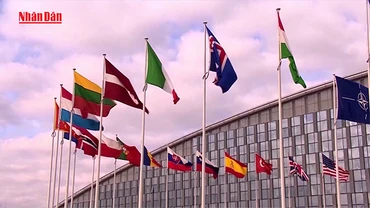 [Video] Pháp - Anh đề xuất ngừng bắn một tháng ở Ukraine