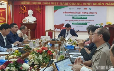Quang cảnh Diễn đàn.