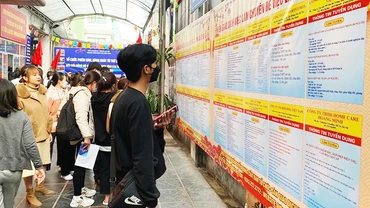Việc mở nhiều ngành đào tạo tạo sức ép xin việc khi sinh viên ra trường.