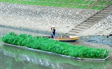 Tìm giải pháp cứu vùng không khí Thủ đô
