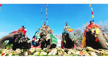 Tiệc buffet cho voi tại lễ hội.