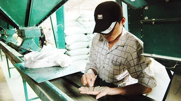 Các doanh nghiệp xuất khẩu nông sản cần cập nhật kịp thời các tiêu chuẩn mới của nước nhập khẩu. Ảnh: ANH QUÂN