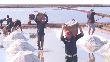 Nghề làm muối tại Bạc Liêu đã có gần 100 năm nay, với bao biến cố nổi, chìm...