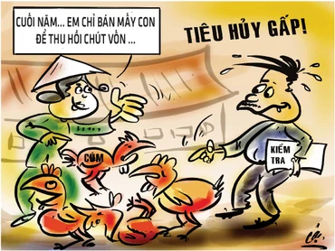 Áp Tết, càng lo mất an toàn thực phẩm