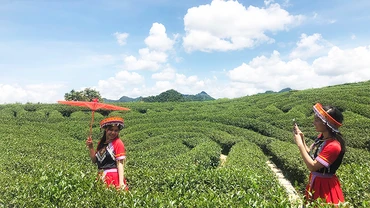 Du khách check-in tại đồi chè với trang phục truyền thống của người H’Mông.