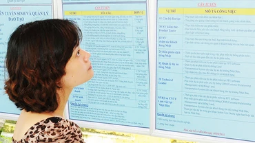 Ban hành Đề án vị trí việc làm để cải cách tiền lương