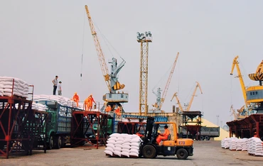 Bốc dỡ hàng hóa tại cảng Chùa Vẽ, Hải Phòng. Ảnh: NAM ANH