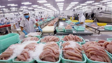 Ngành nông nghiệp tiếp tục duy trì đà tăng trưởng hướng tới 65 tỷ USD km ngạch xuất khẩu.
