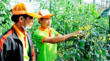 Dòng vốn được ưu tiên cho phát triển sản xuất. Ảnh: NAM ANH