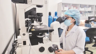 Hoạt động nghiên cứu khoa học tại Trường đại học Quốc tế, Đại học Quốc gia Thành phố Hồ Chí Minh.