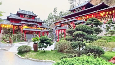 Chùa Cây Thị ở thời điểm hiện tại dưới bàn tay phục dựng đầy tâm huyết của Đại đức Thích Huệ Hạnh, Ủy viên Thường trực Phân ban chuyên nghiệp Phật tử Trung ương.