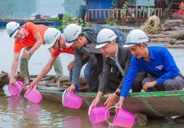 Thả cá giống xuống hồ chứa nước Thủy điện Đak Mi 4