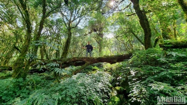 Loại hình du lịch khám phá, mạo hiểm (du lịch trekking) không còn xa lạ với nhiều người, nhất là với giới trẻ hiện nay.