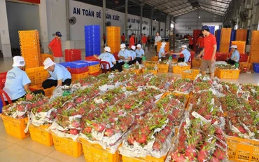 Trung Quốc là đối tác thương mại lớn nhất của Việt Nam.