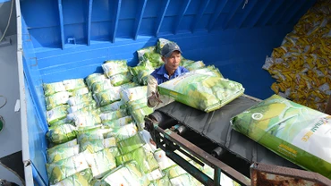 Gạo Lộc Trời tiếp tục được xuất khẩu đều đặn sang EU.
