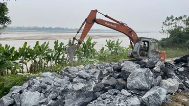 Đơn vị thi công đang khẩn trương xử lý tình trạng sạt lở kè Hợp Hải thuộc xã Phùng Nguyên, huyện Lâm Thao.