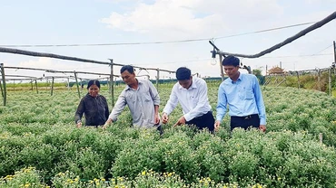 Cán bộ xã đồng hành với người dân trong sản xuất.