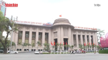 [Video] Ngân hàng Nhà nước công bố công cụ hỗ trợ phát triển tín dụng xanh
